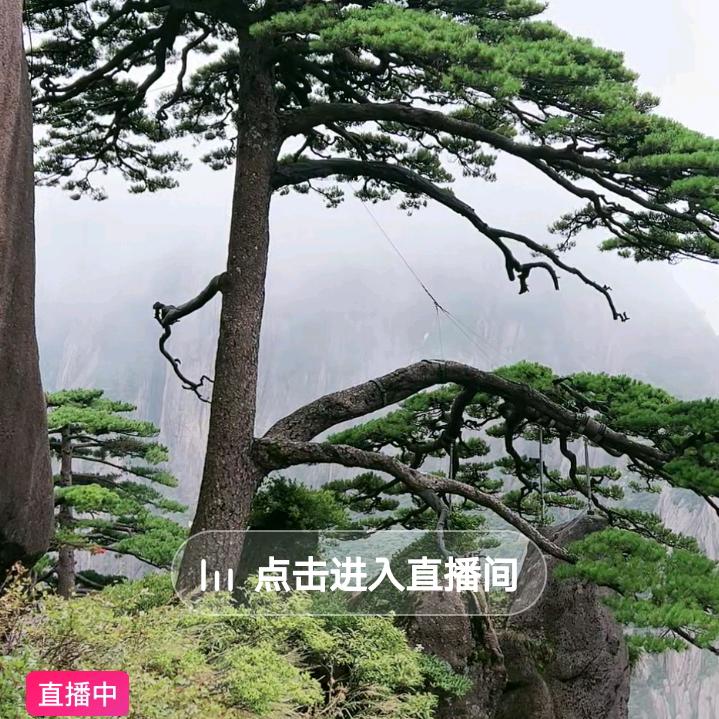 有福