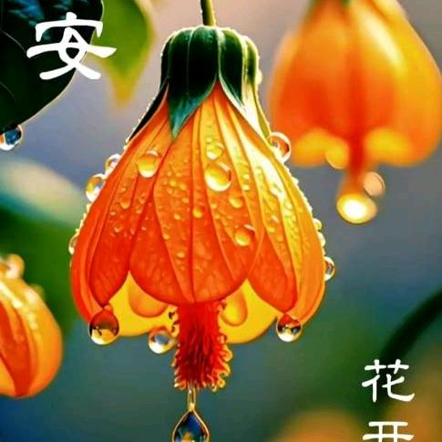 钟爱一生