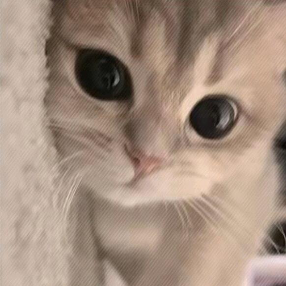 QoQ