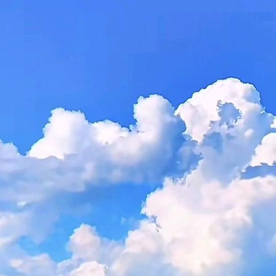 芳姐