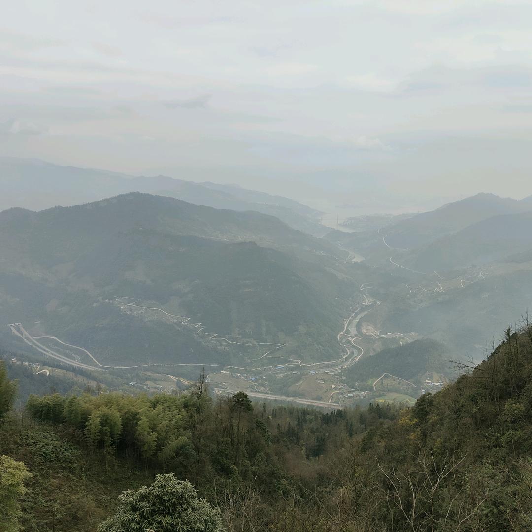 简单点