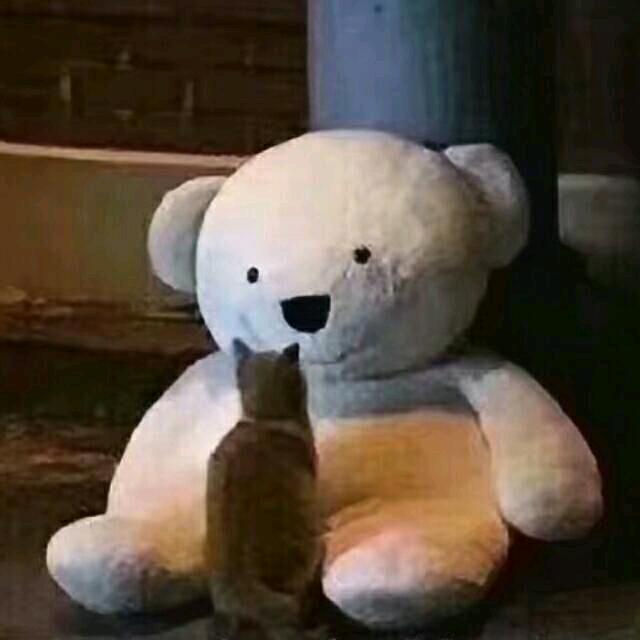 人禾刀刀