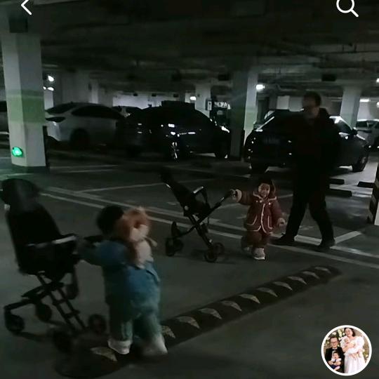 成有芳