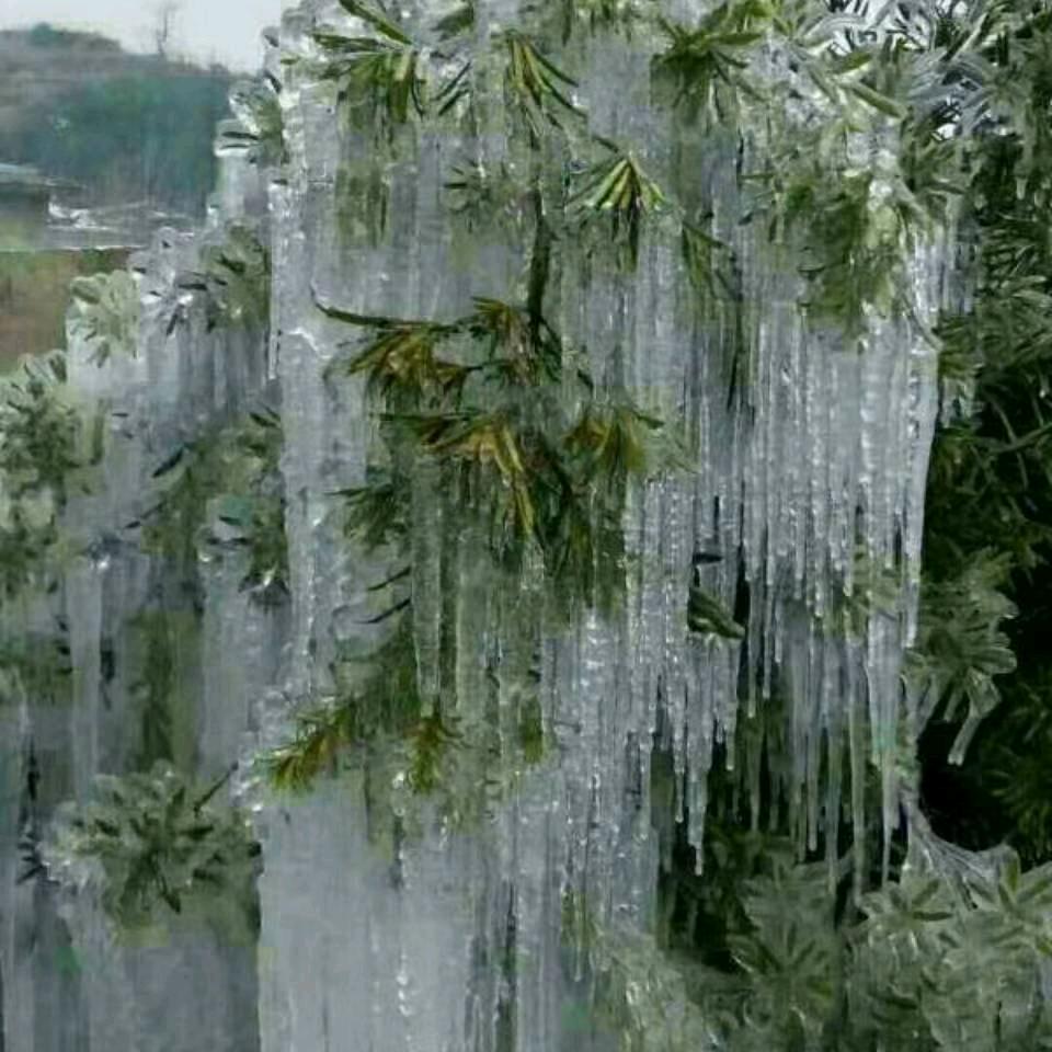 冬天的雪