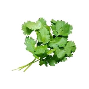 不爱吃香菜的杰