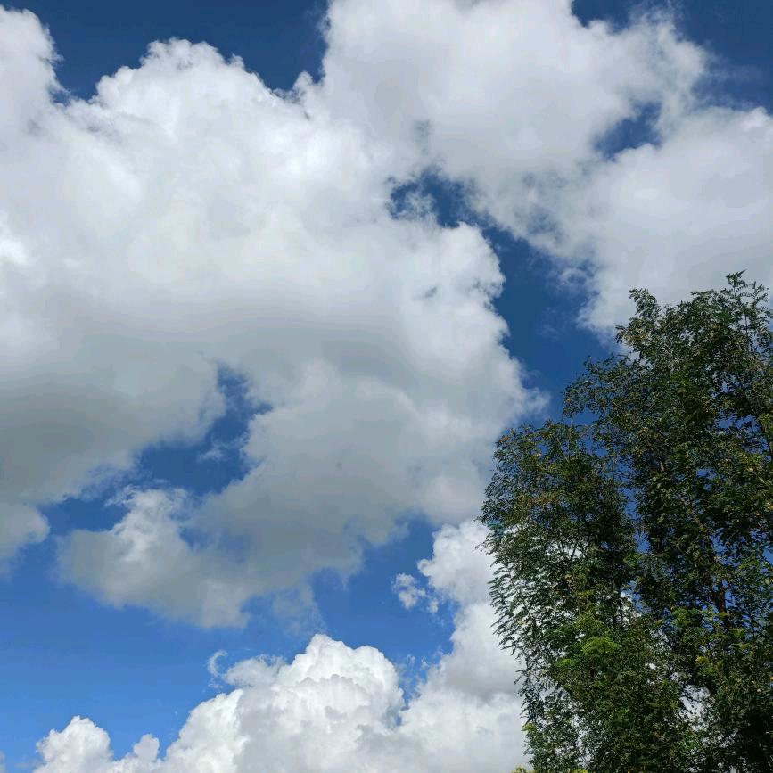 好人一生平安：