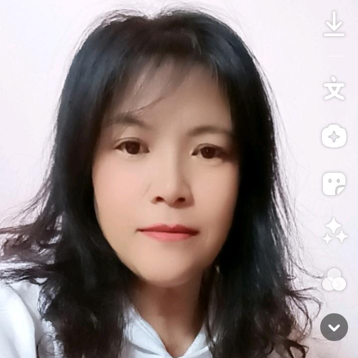 芙蓉