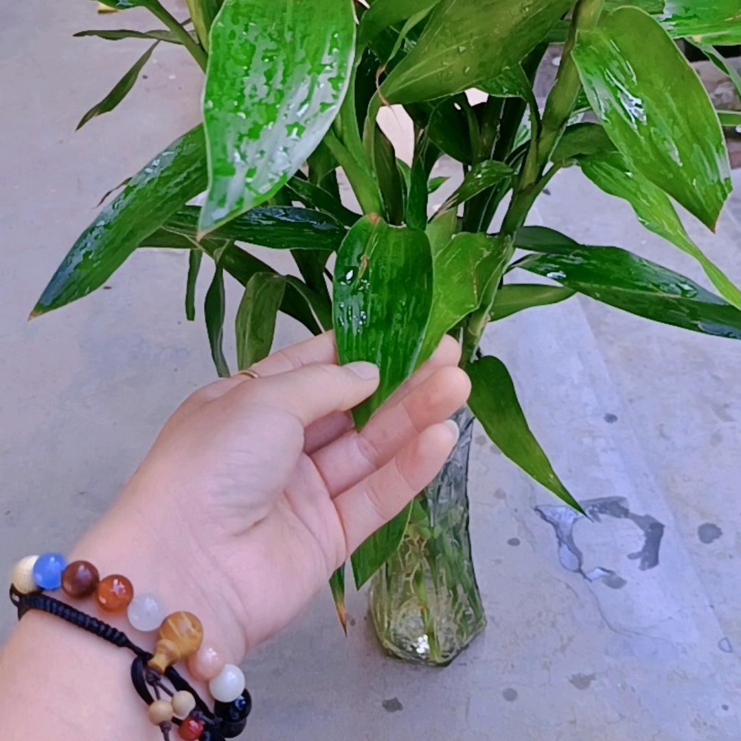 小小云