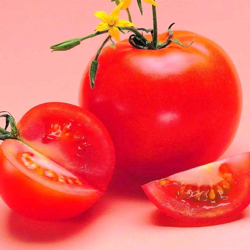 真帅新疆番茄农场