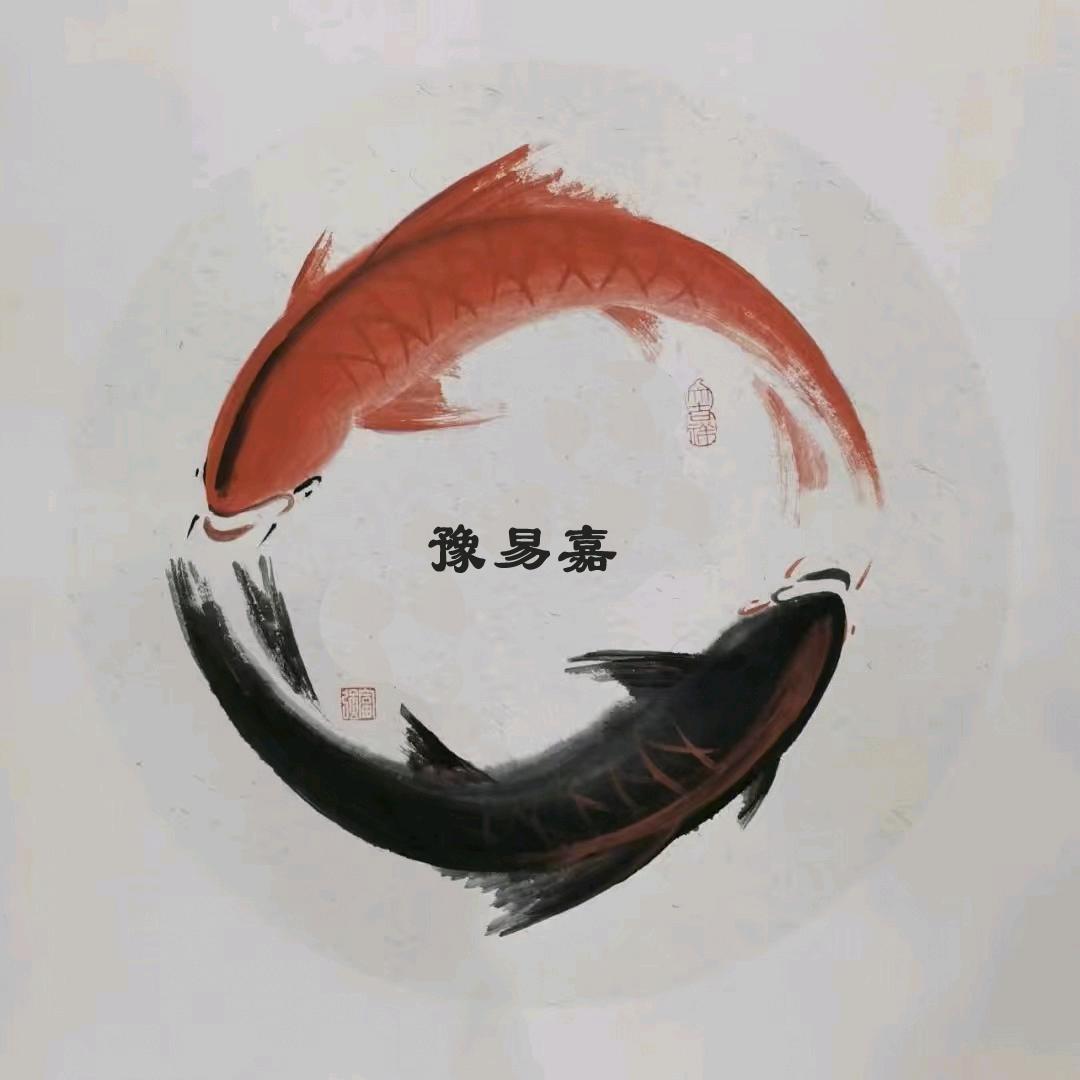 豫易嘉05