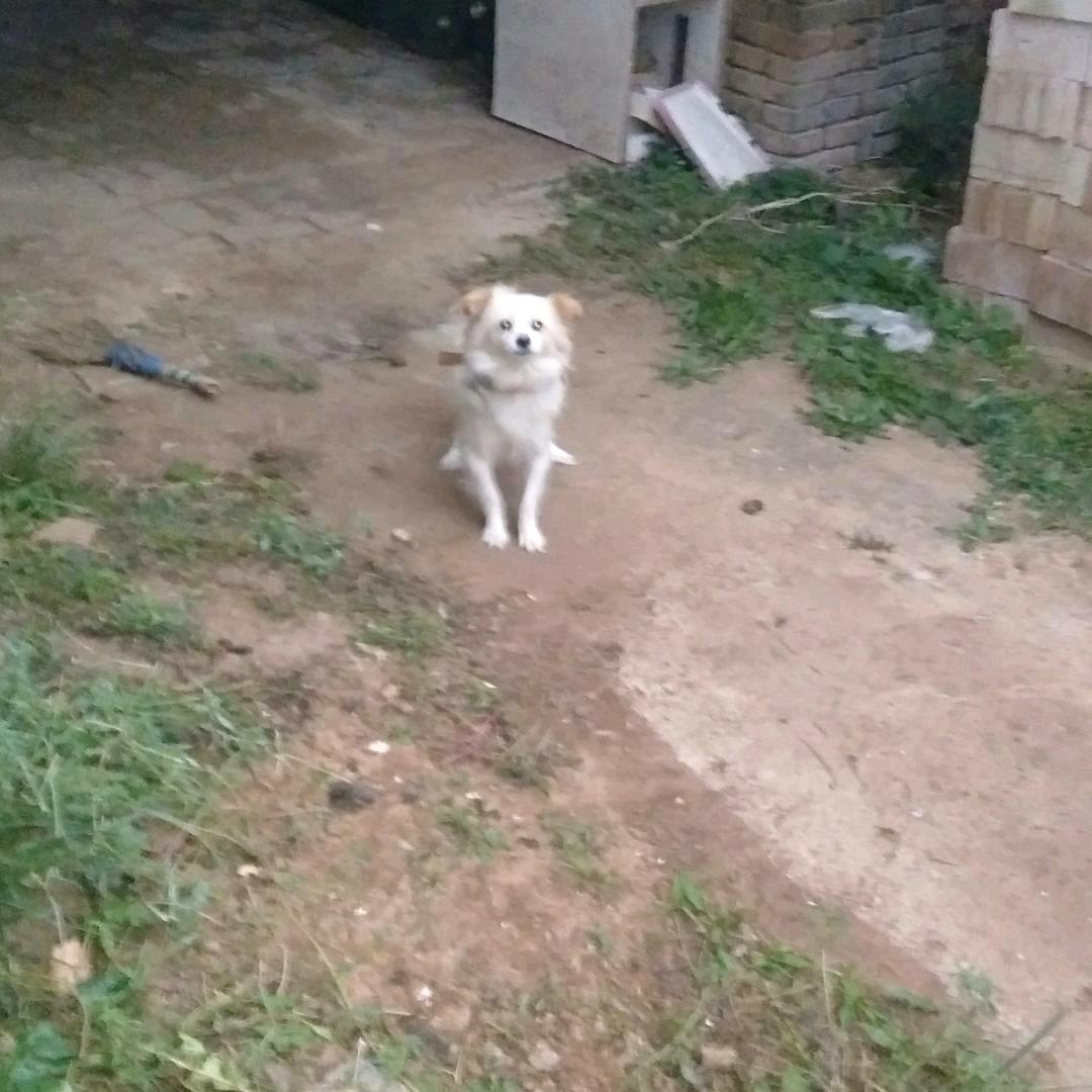 沉默。