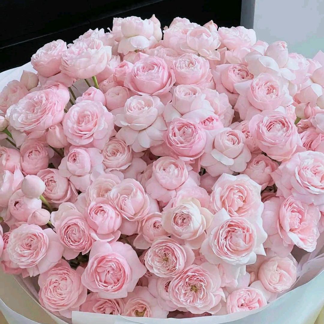 石河子卫浴萍姐