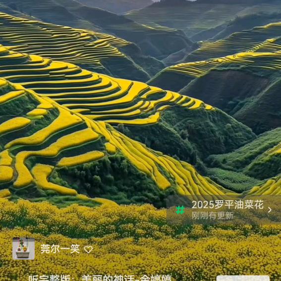 拉猪，小哥