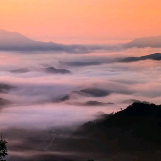 一锅粥