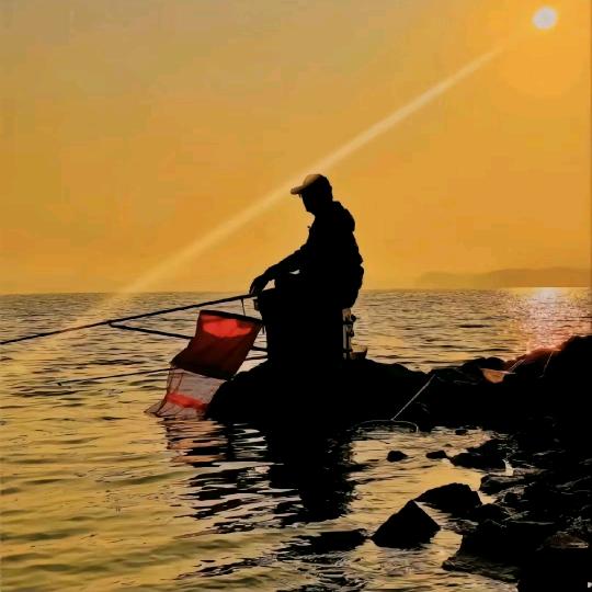 为娱不为渔🎣