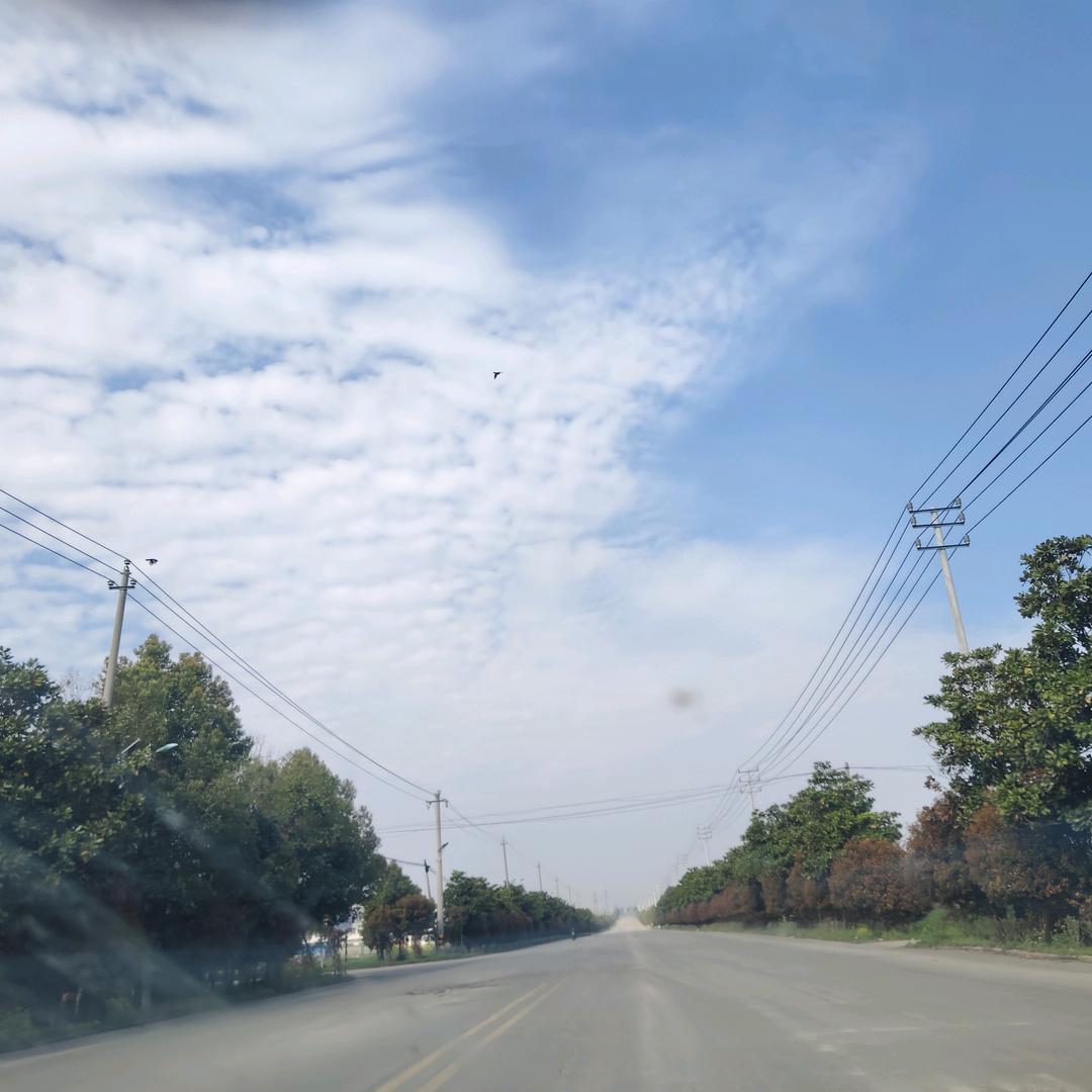 皇家壹号窗帘店313