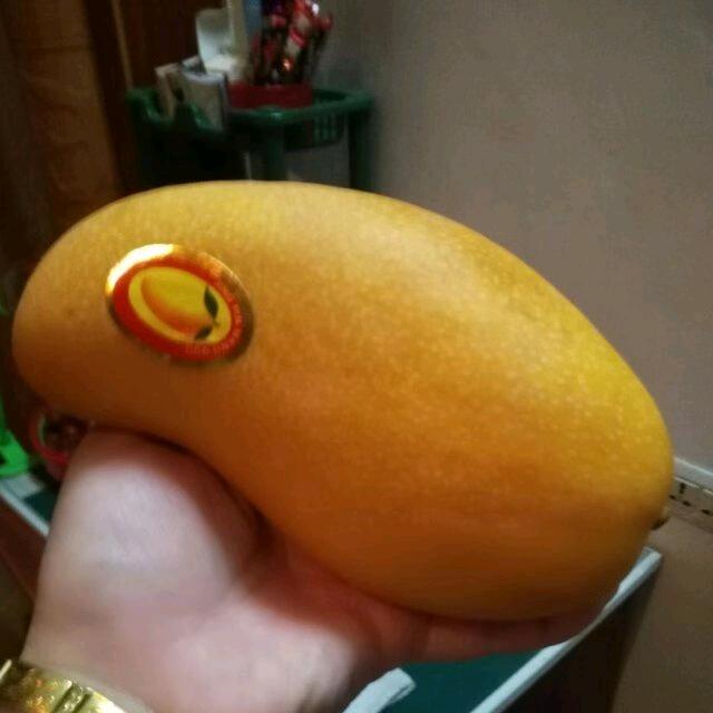 小忙果