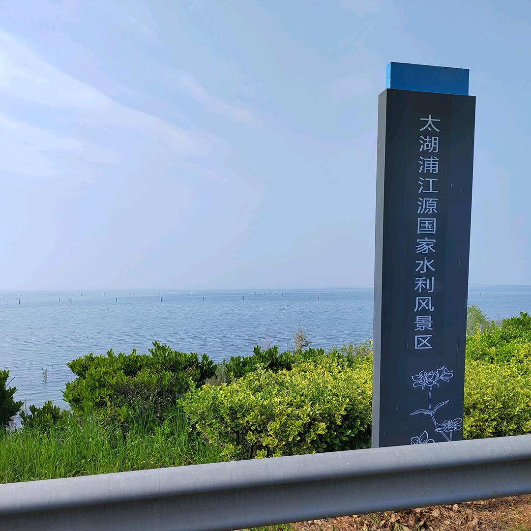 优雅叶子