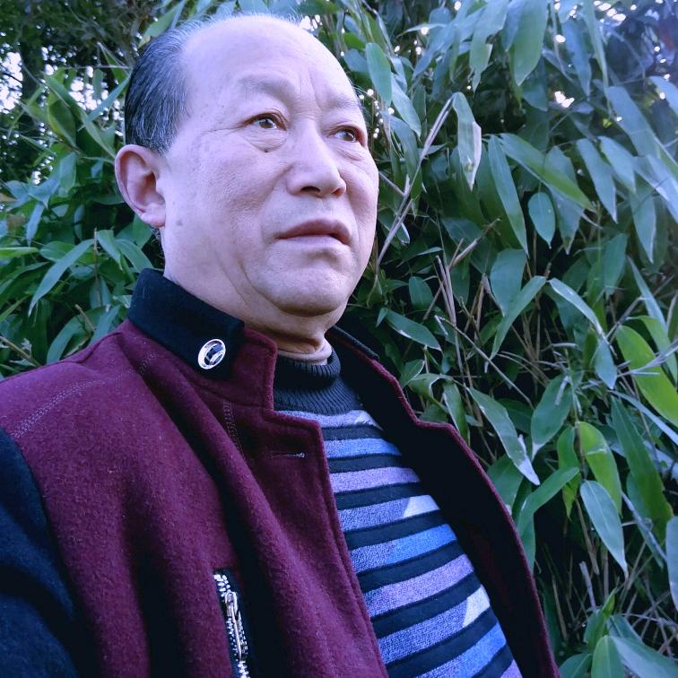 麻将哥范总