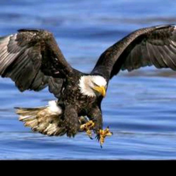 我就坏的刚刚好