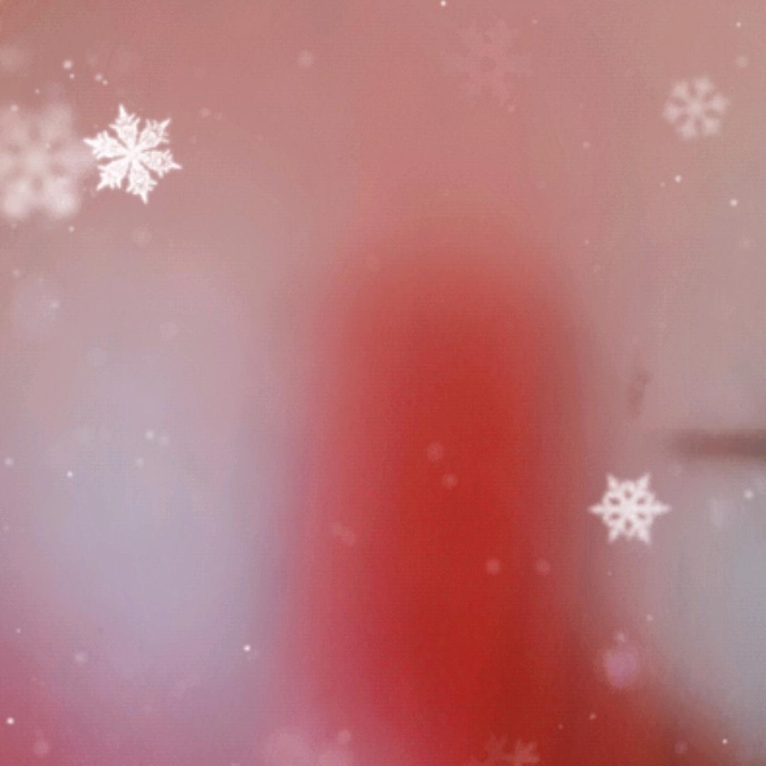 秋秋