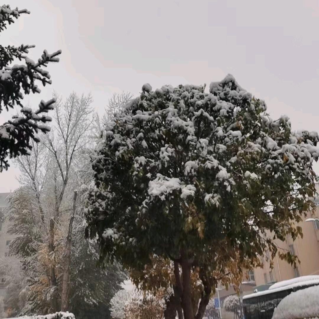 小许家的饭铺，许晓勇（新建城店）