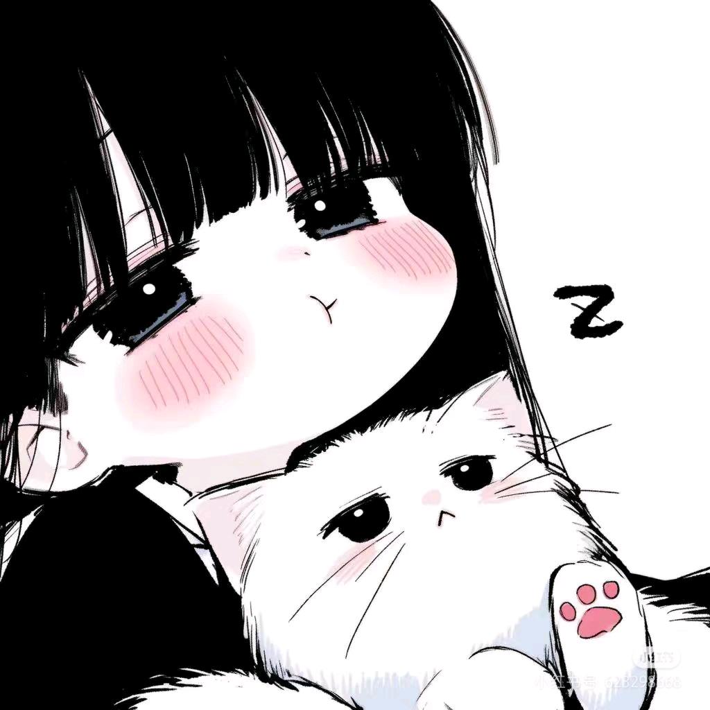 李礼礼155