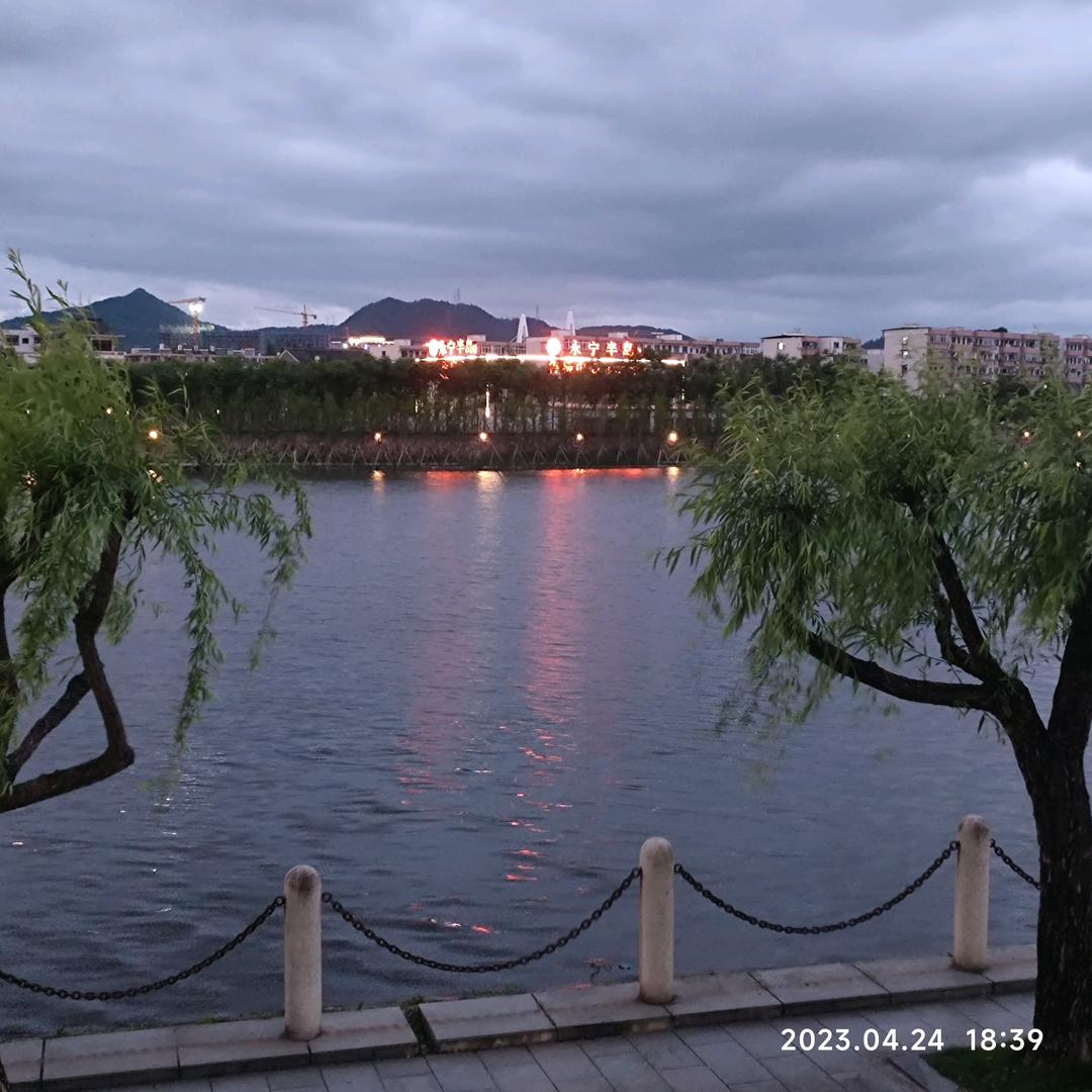 喜欢朗琴的武文朝头像