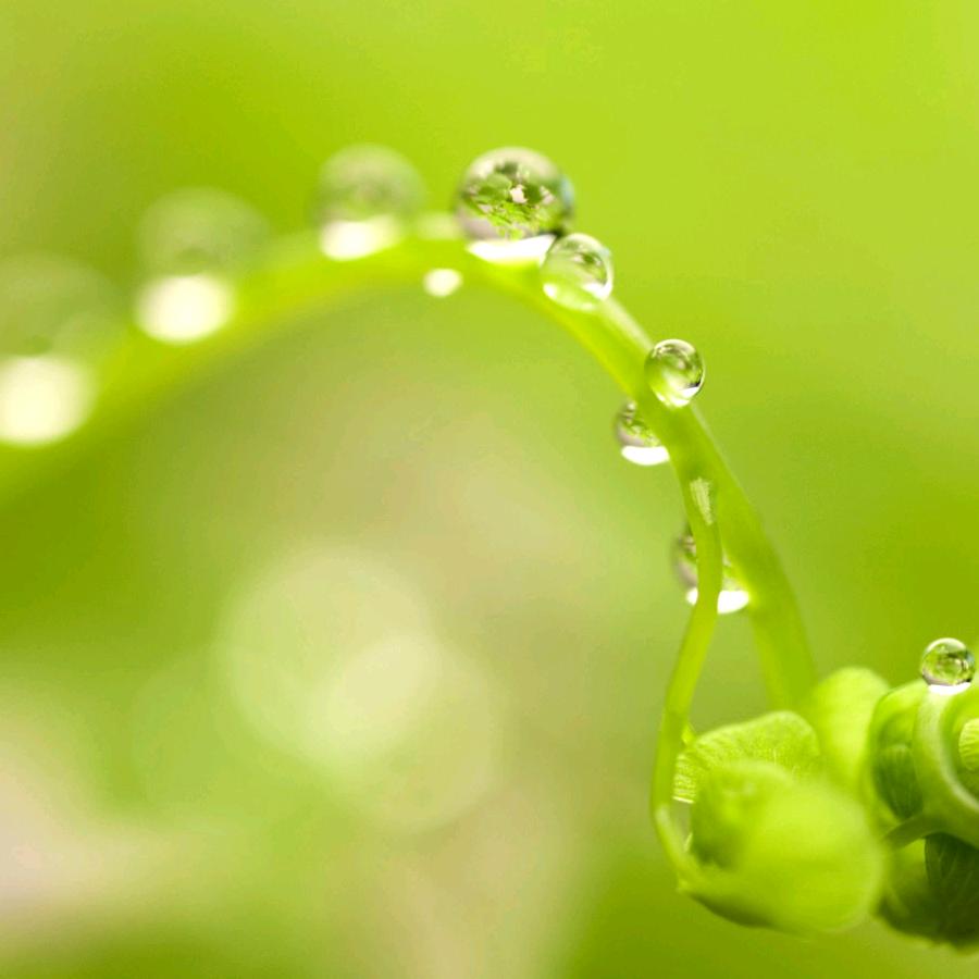 晨曦.重启