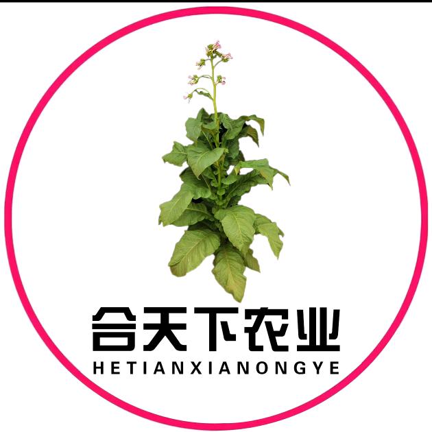 合天下烤房（老憨）