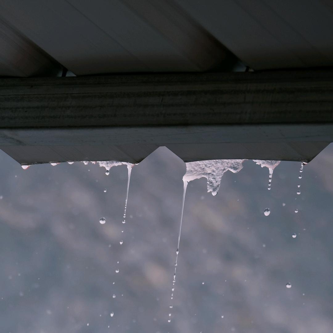 梁山伯与猪乱来