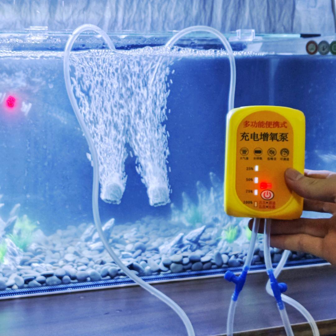 然知鱼🐟