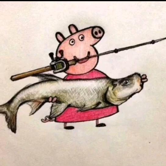 热心的朝阳群众、