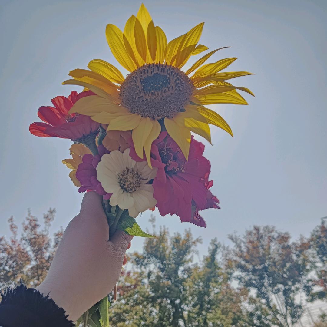 🥀এ᭄繁华落尽࿐ᩚ::