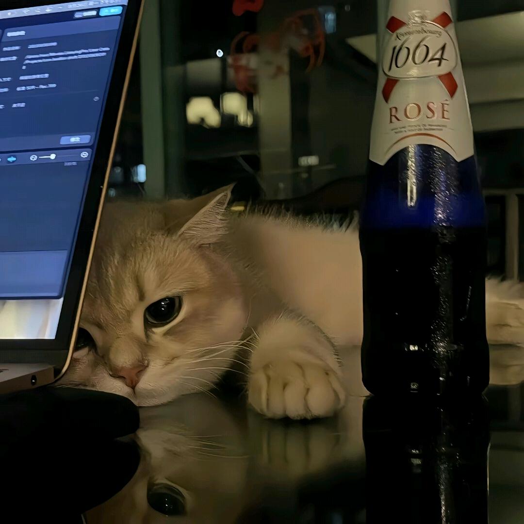 温柔老国宾🇵🇸