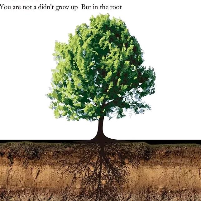 🌵(ง •̀_•́)ง来日可期➕⛽🌻