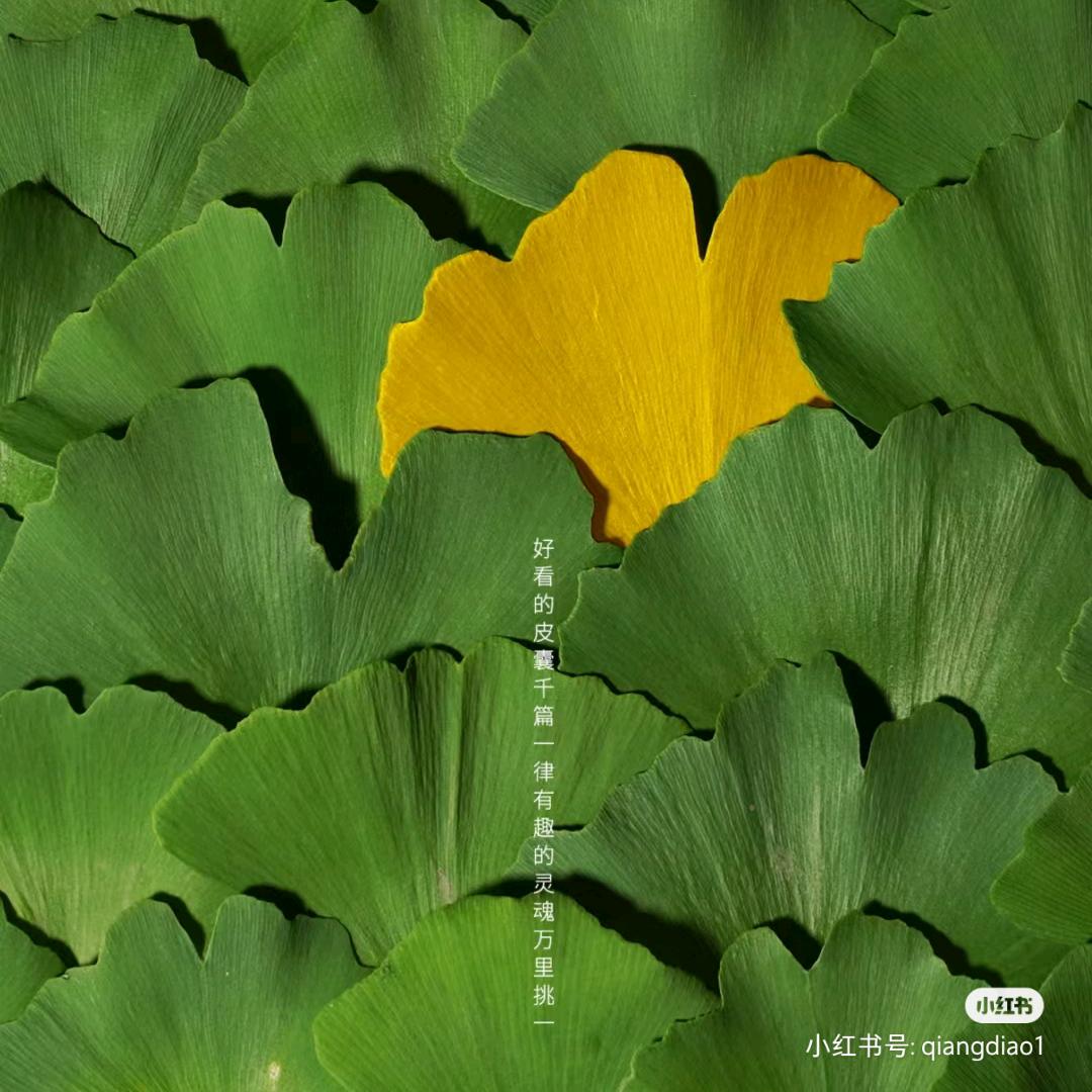 二九