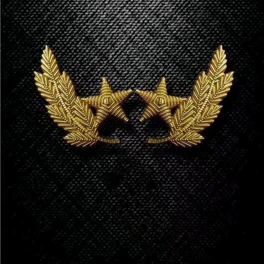 小将☆王司令