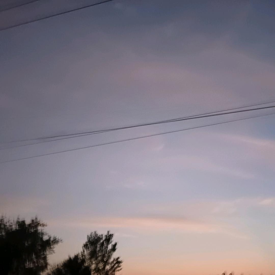 南方的燕子