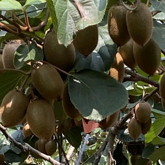 。。。🚘🚘🚘