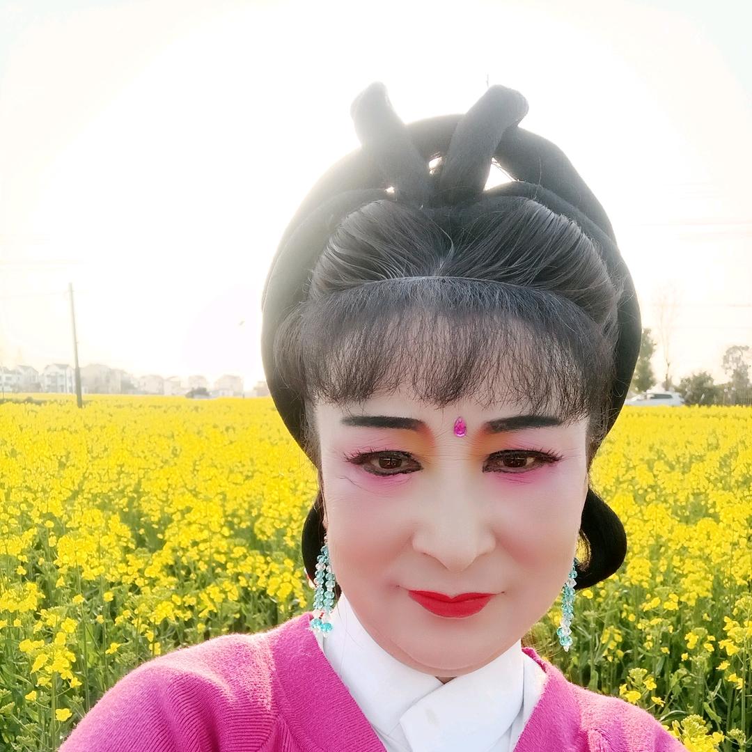 庐剧张文红