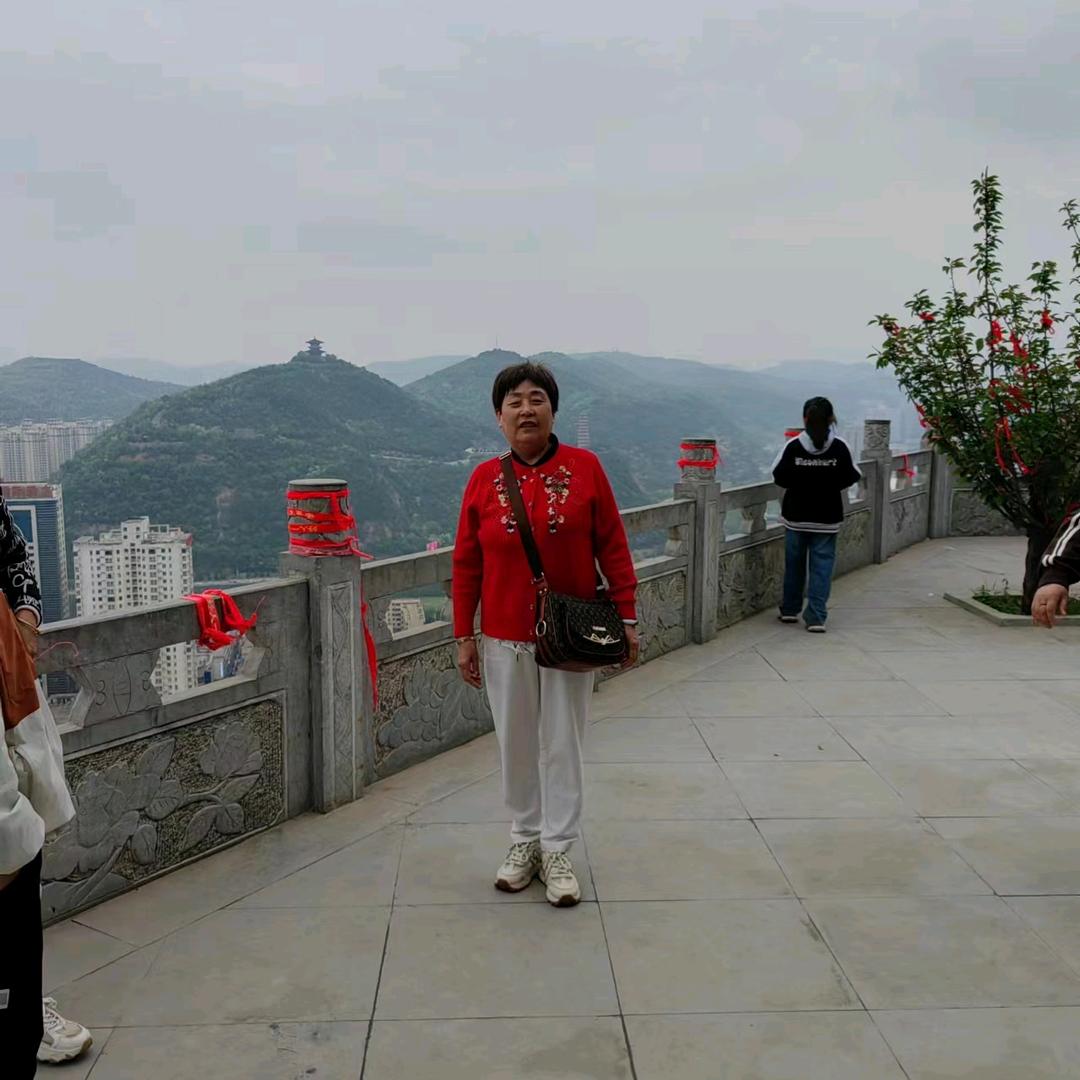 艾米奶奶2点50直播