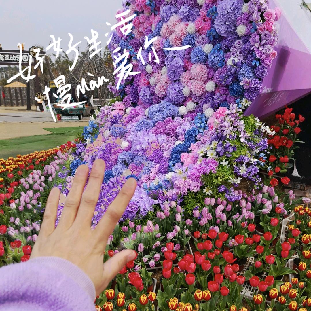 幸福的一家