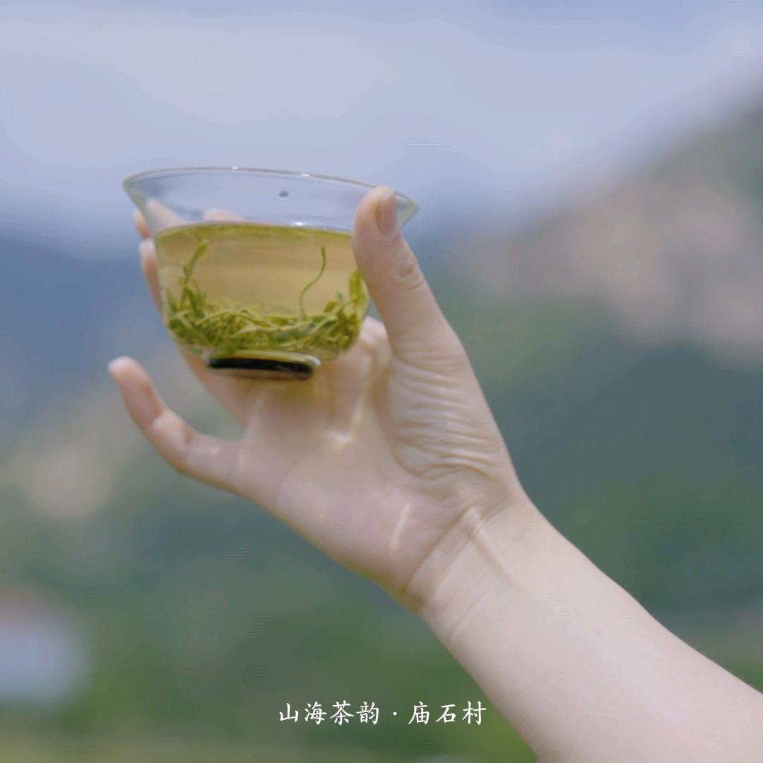 青岛崂山庙石茶