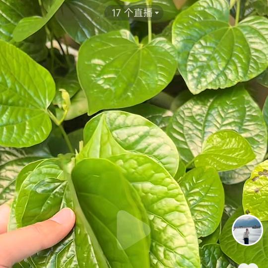 🌈么🐳⁷⁰⁰🥷