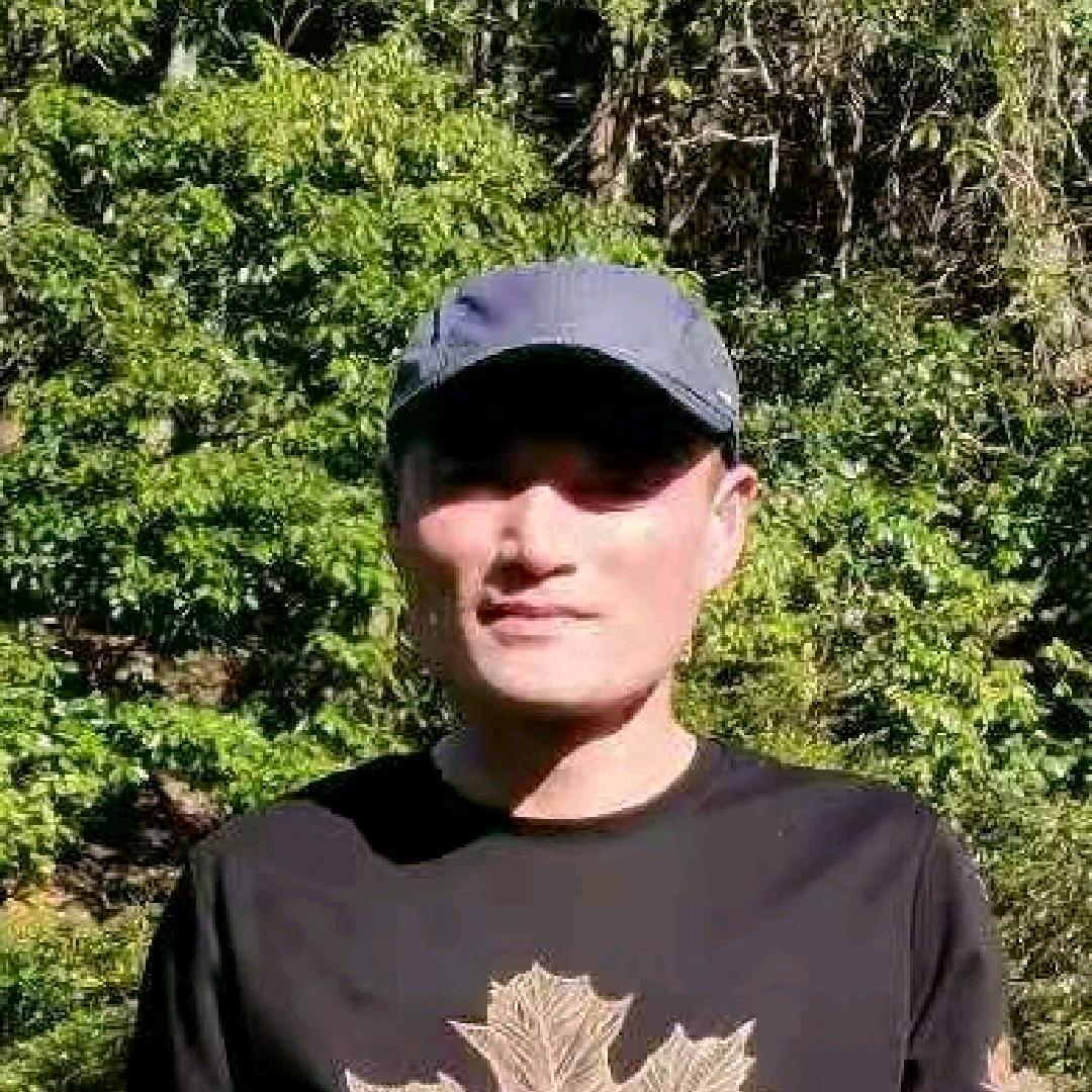 医武传承者…