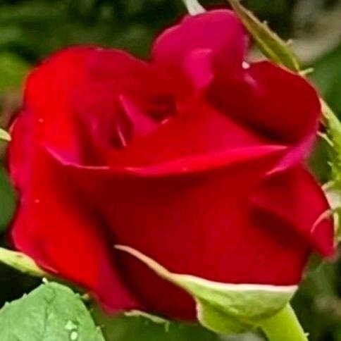 山清水秀好地方