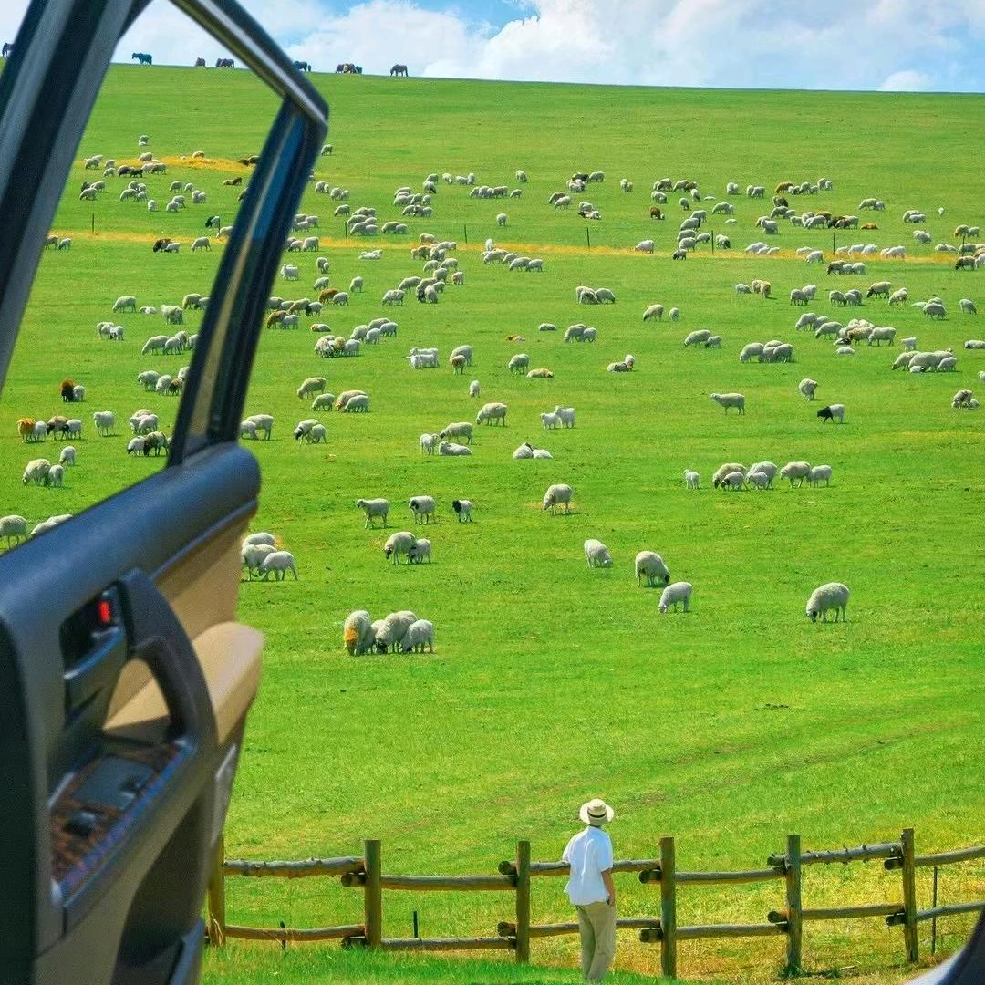 辉腾锡勒草原黄花沟旅游咨询