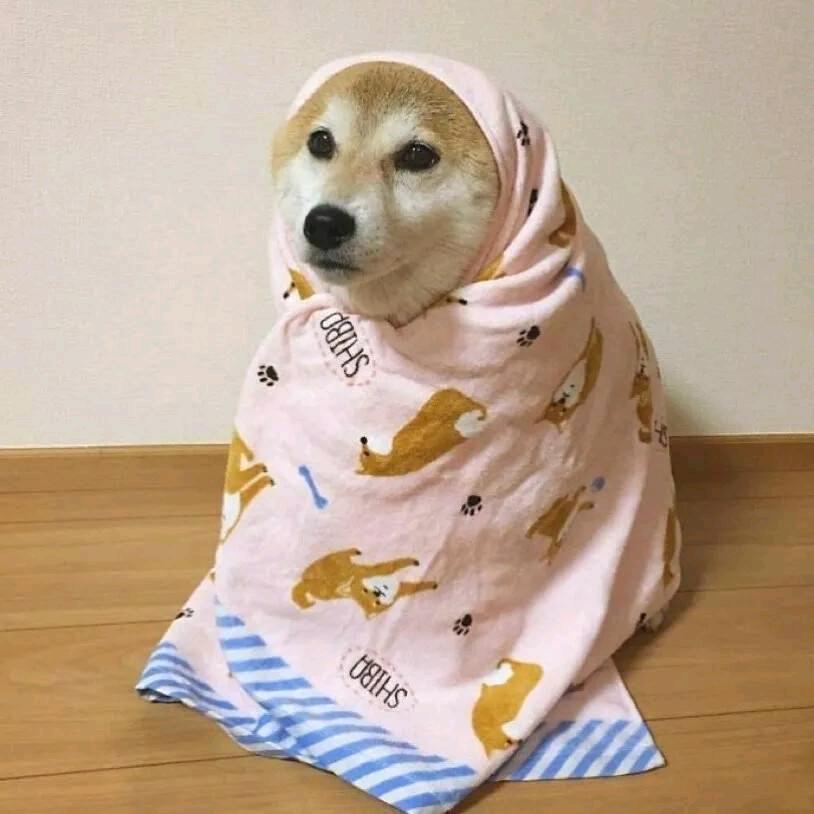 框框框