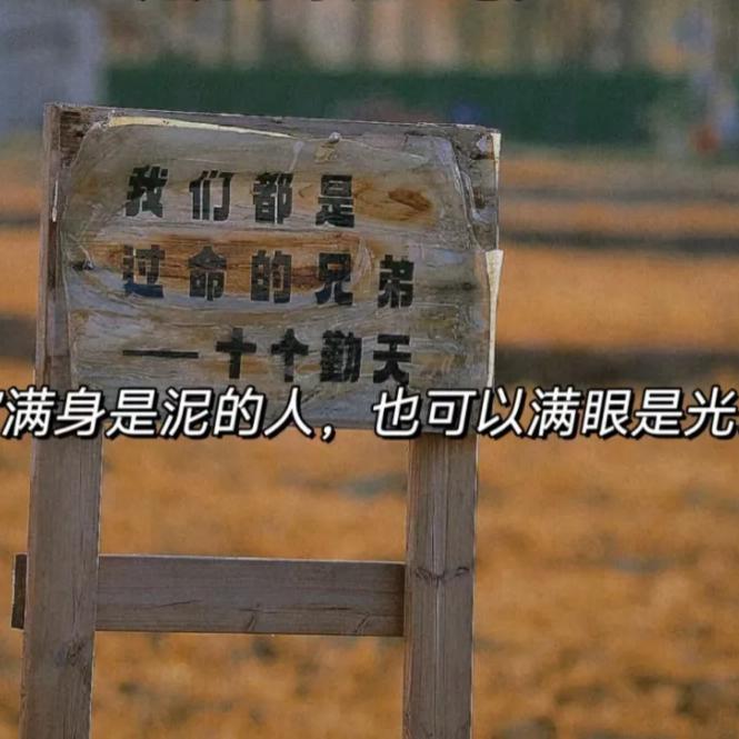 第十帖   闪闪发亮的大人